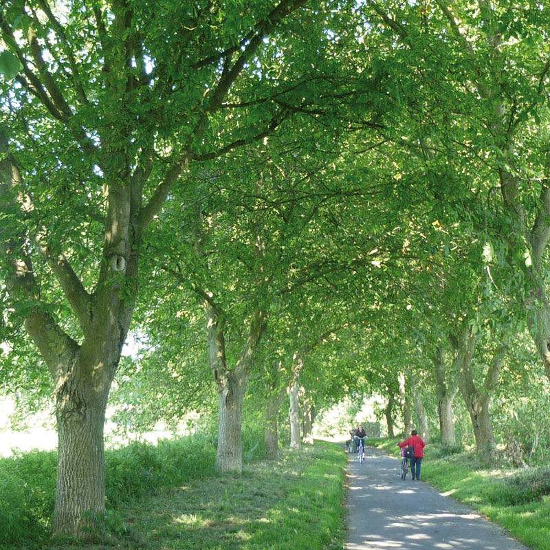 Tour 2 - Natur und bunte Städtchen, Foto: Barb Mehrens